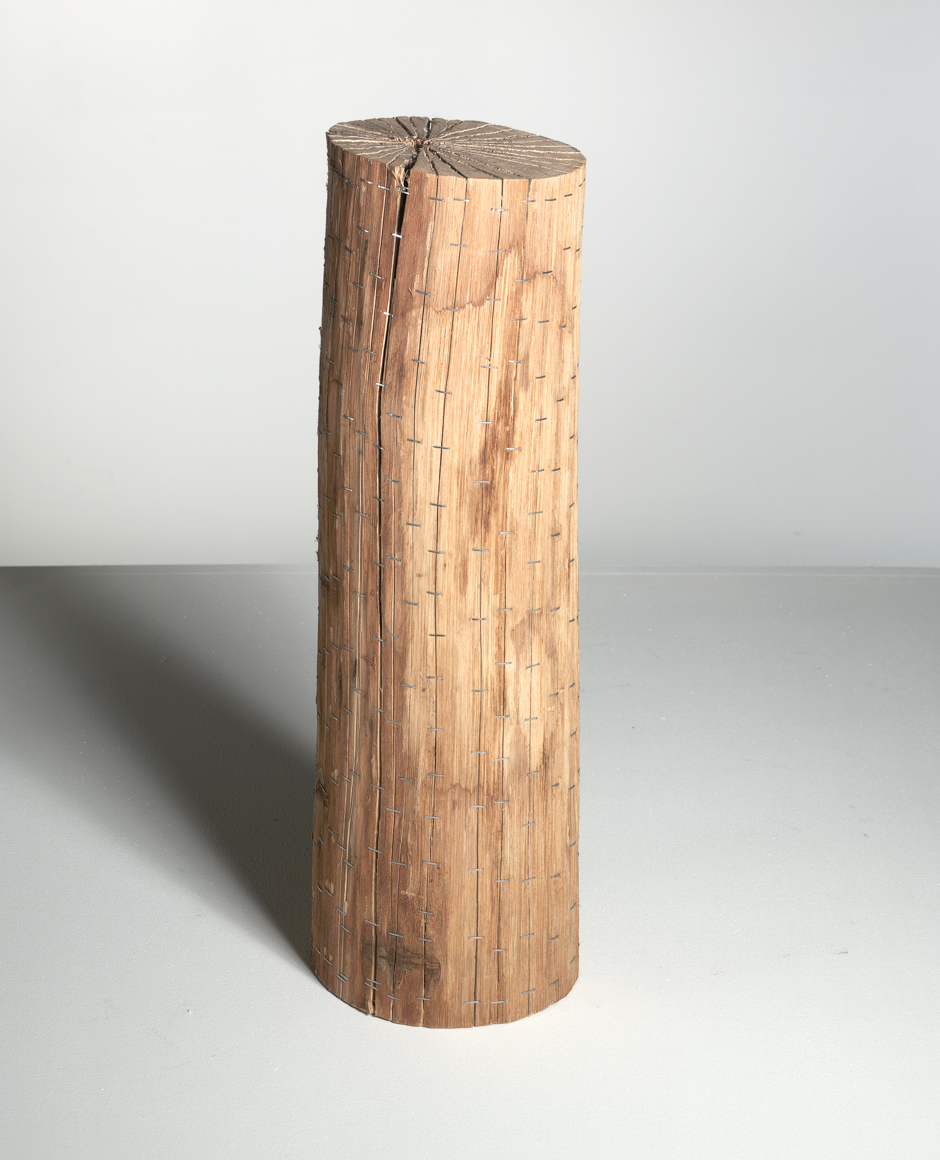 Image of "Ramifications II" sculpture created by splitting tree trunks into sections and reassembling them with staples