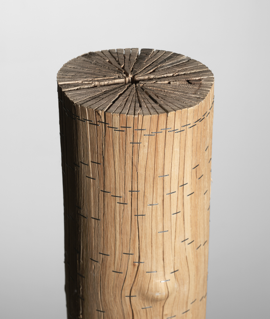 Detail image of "Ramifications V" sculpture created by splitting tree trunks into sections and reassembling them with staples