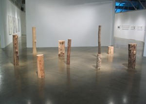 Image of installation of "Ramifications Series" sculptures created by splitting tree trunks into sections and reassembling them with staples